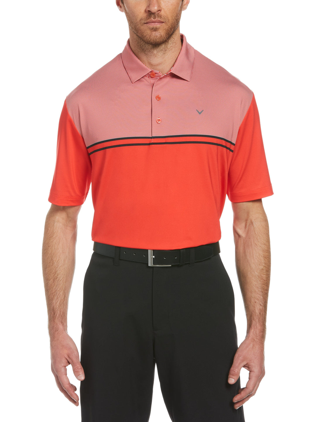 Big & Tall Finish Line Printed Polo