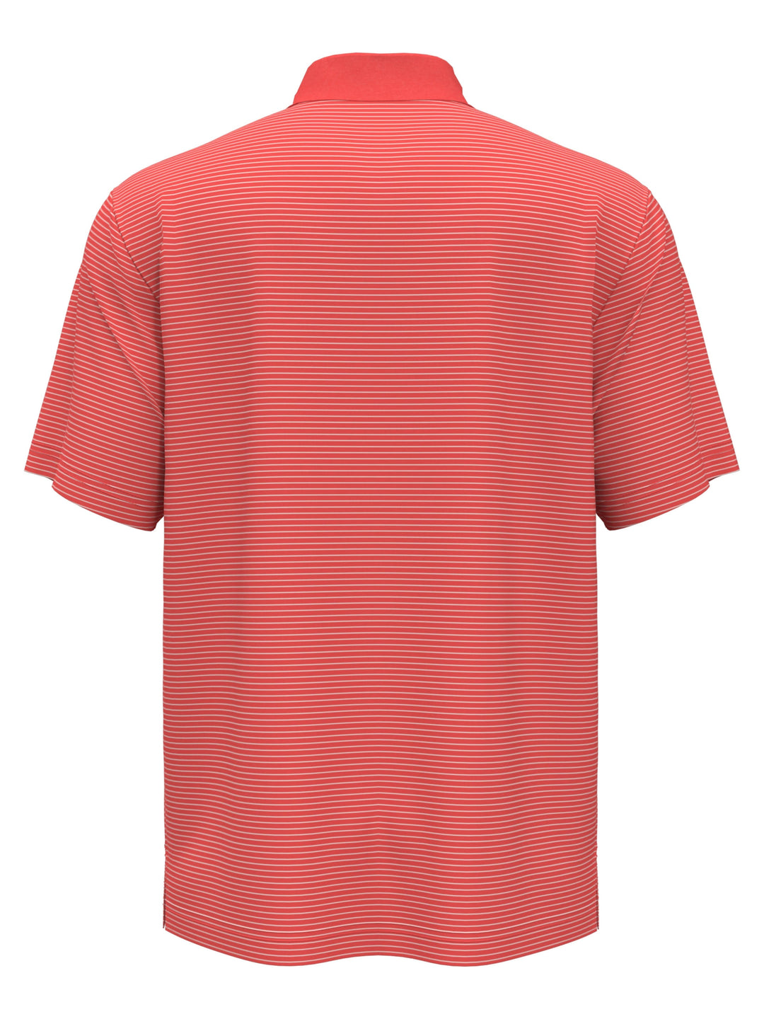 Big & Tall Micro Stripe Polo (Dubarry) 