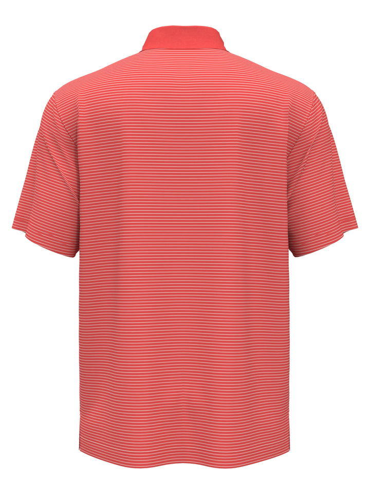 Big & Tall Micro Stripe Polo (Dubarry) 