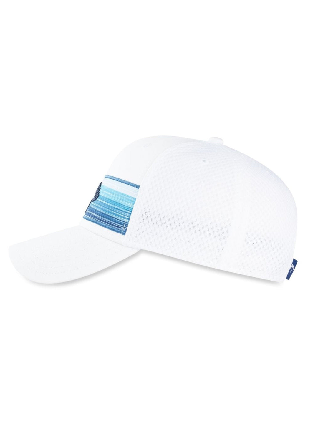 Stripe Mesh Cap
