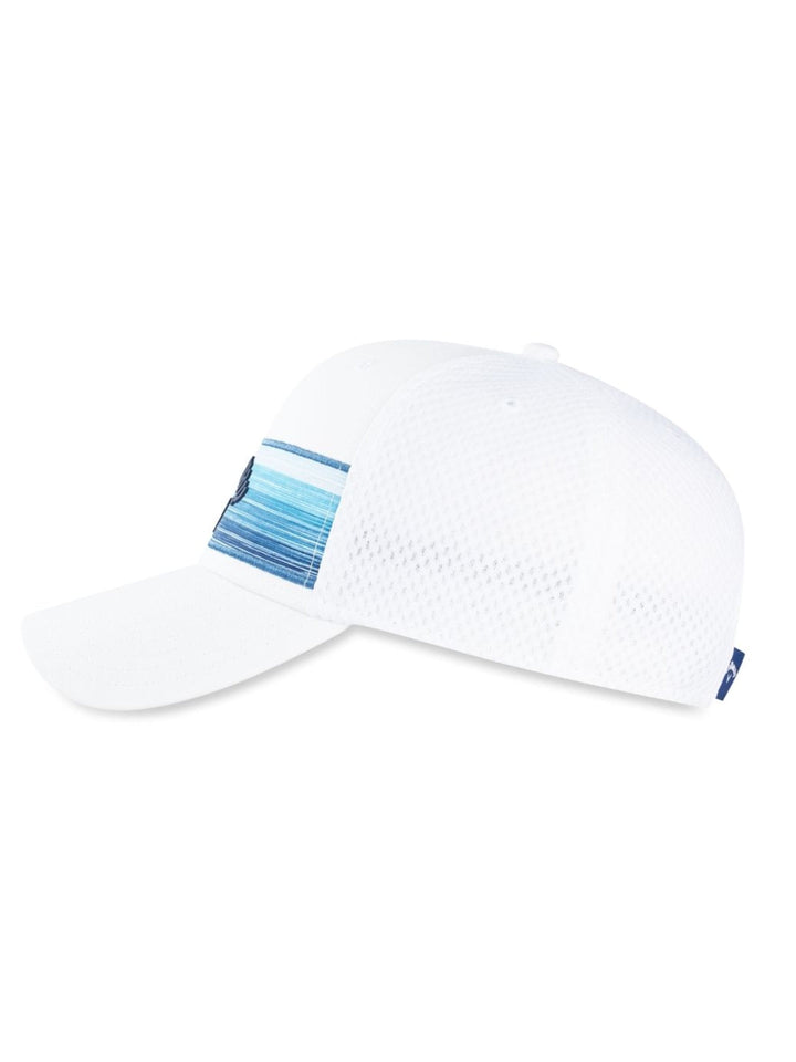 Stripe Mesh Cap