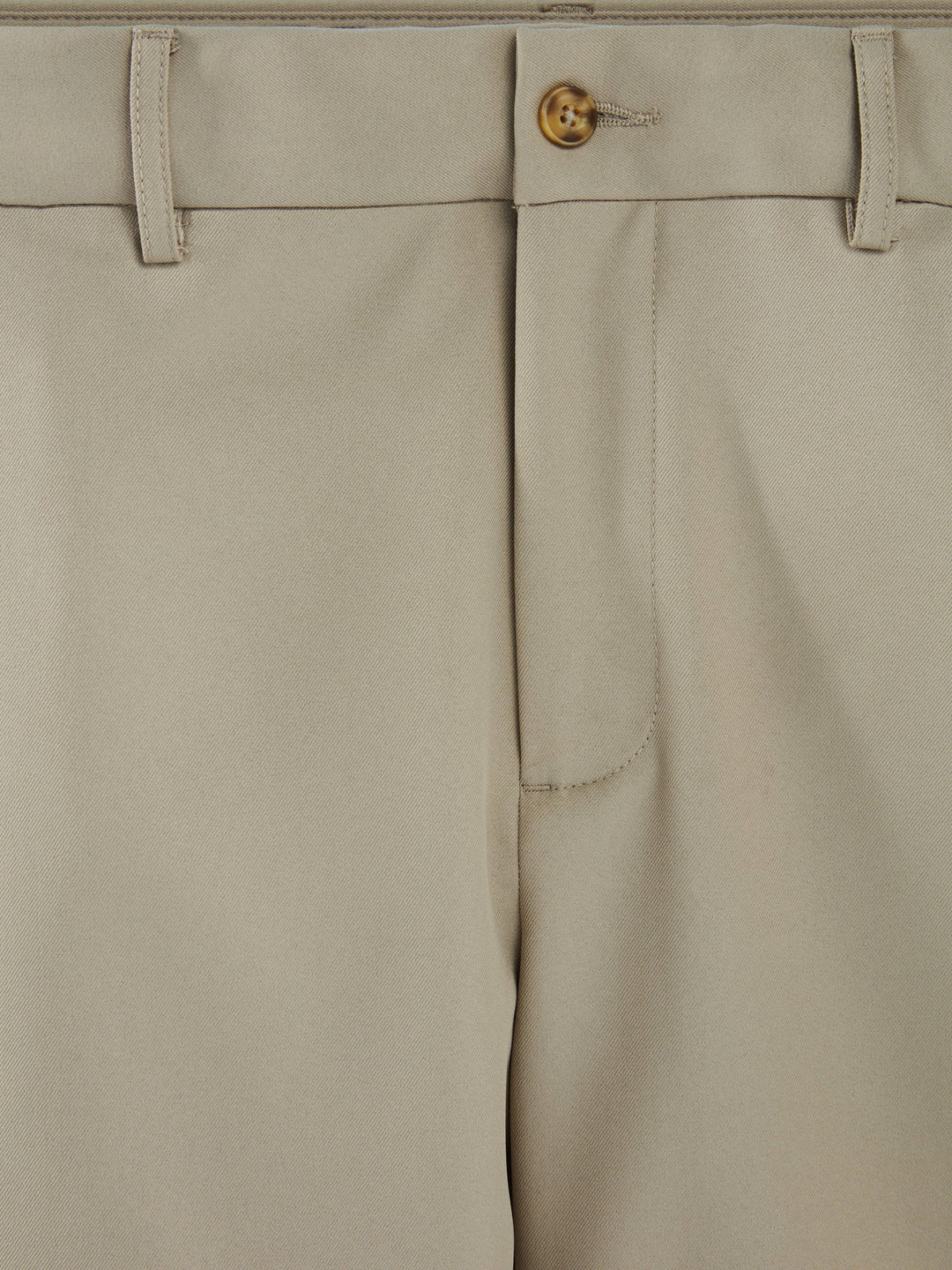 Big & Tall Expandable Waist Flat Front Golf Short