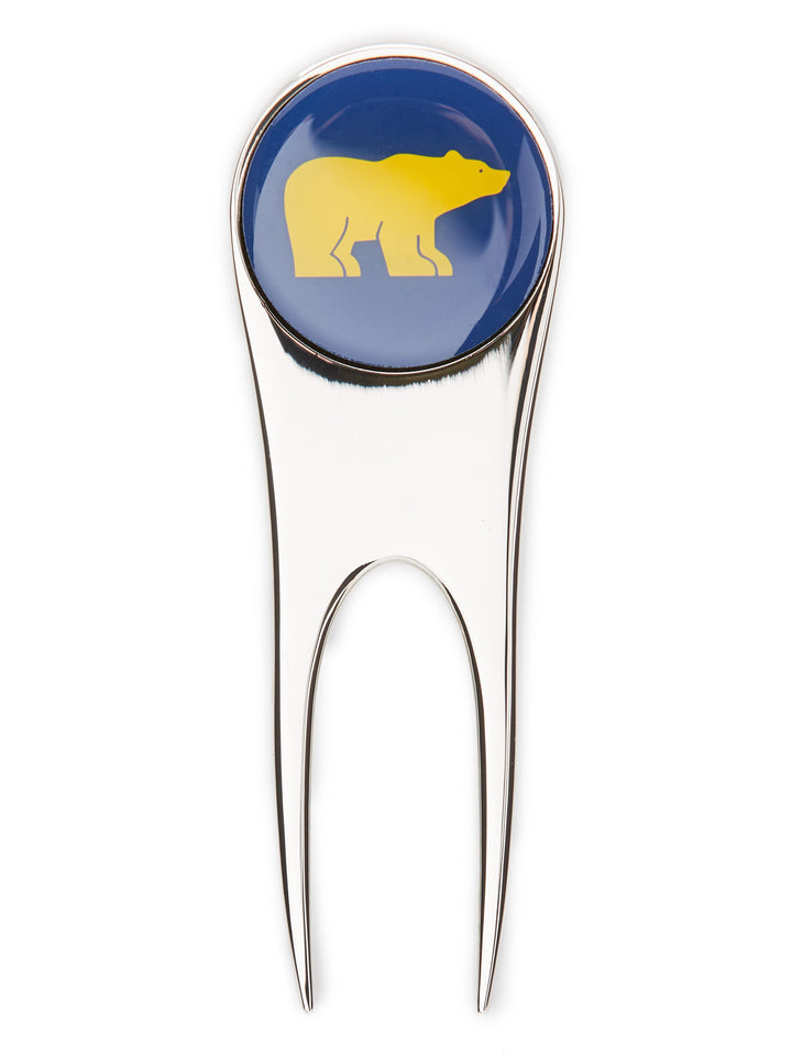 Divot Tool