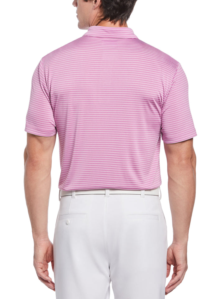 Feeder Stripe Golf Polo (First Bloom) 
